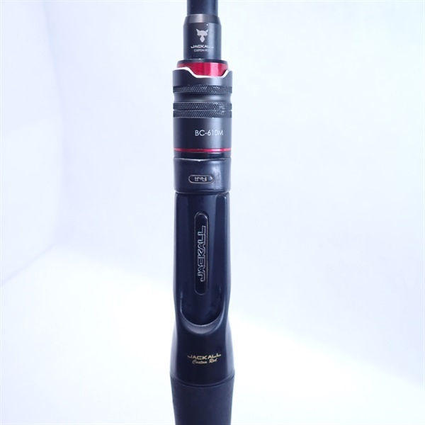 １７ＢＰＭＢＣ－６１０Ｍ